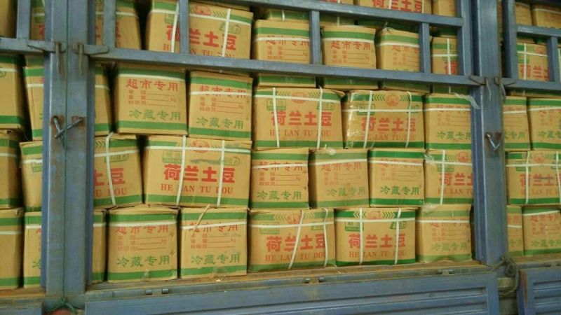 荷兰十五土豆3两以上个头大，颜色亮，薯型好，保鲜好