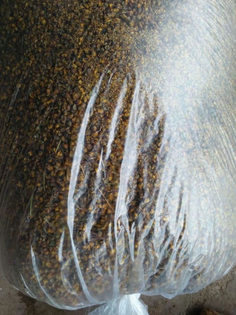 野菊花颗粒
