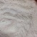 粉皮