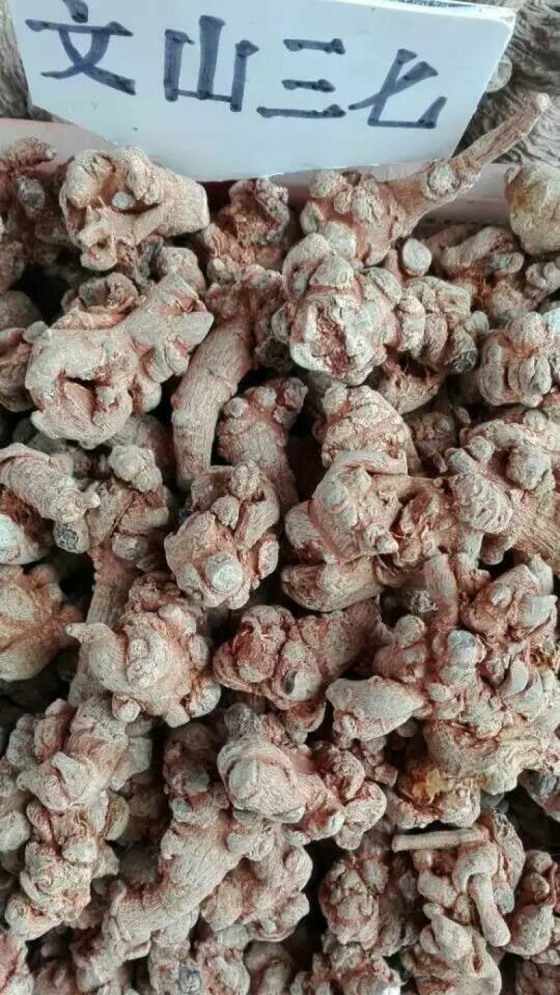 三七精选足40头，文山三七