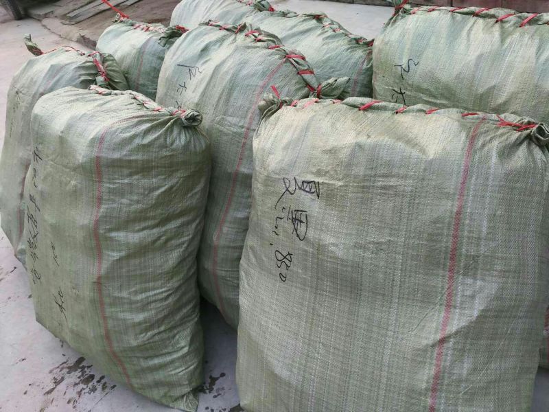 户太八号葡萄苗保纯度保成活率死苗补发