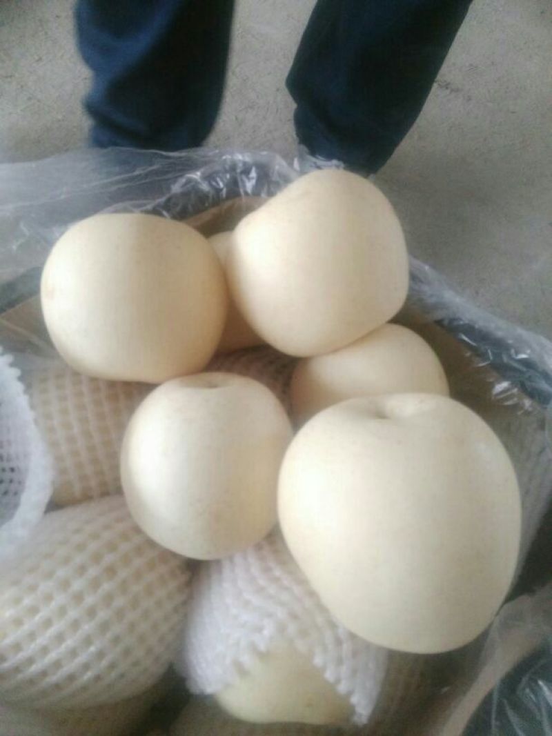 皇冠梨300~350g纸袋