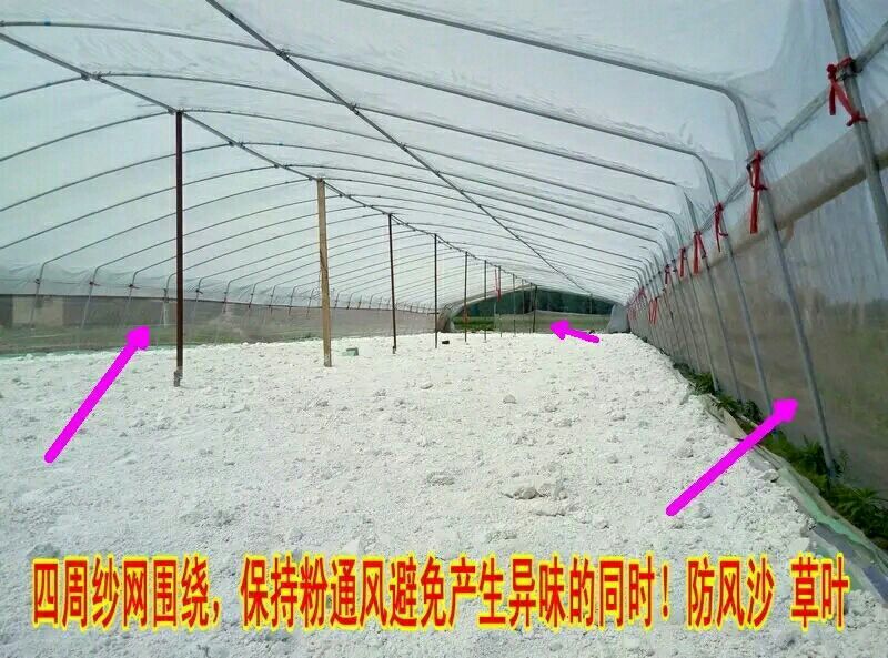 红薯淀粉