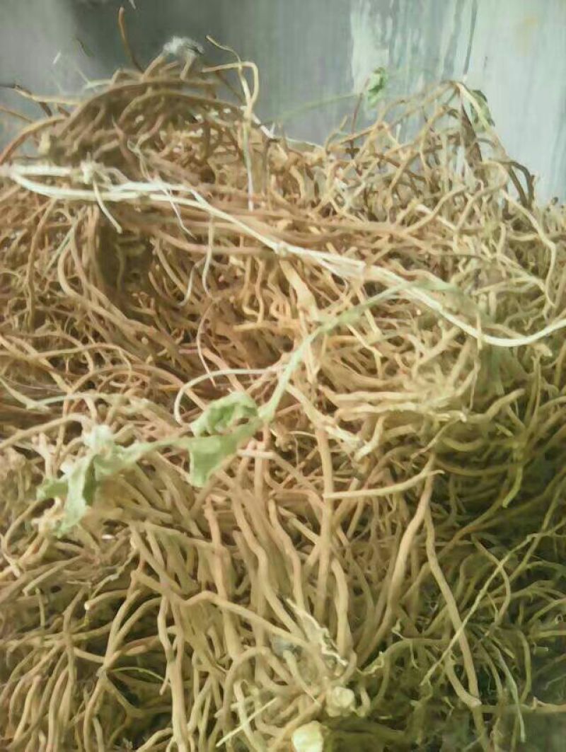 白薇野生白薇质量好量大价优