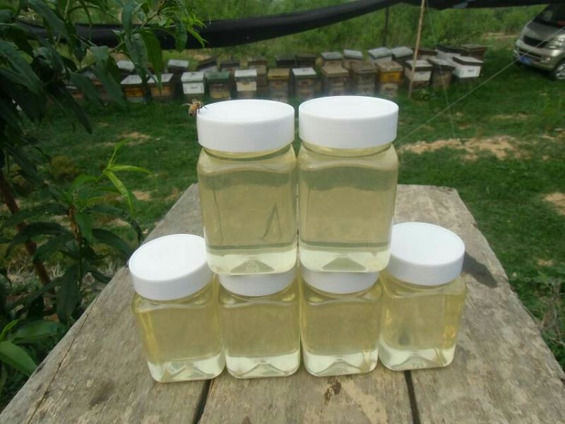 泰山千亩槐林原生态成熟槐花蜜1斤