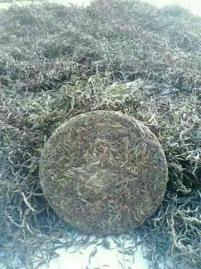 普洱茶