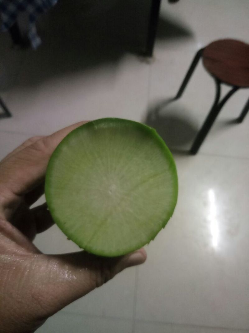 罐萝卜1.5~2斤起