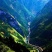 宣汉县巴山大峡谷农家土蜂蜜结晶蜜蜂蜜高山蜂蜜高山蜂蜜
