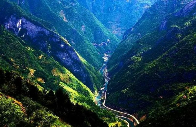 宣汉县巴山大峡谷农家土蜂蜜结晶蜜蜂蜜高山蜂蜜高山蜂蜜