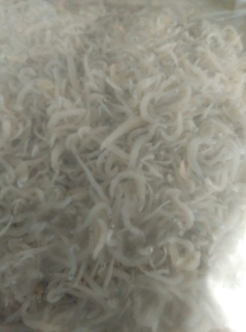 银鱼干包装