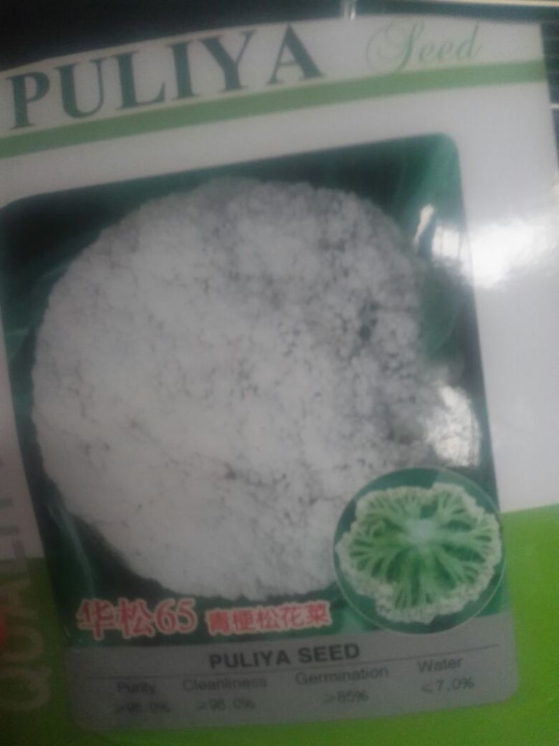 白花菜散装