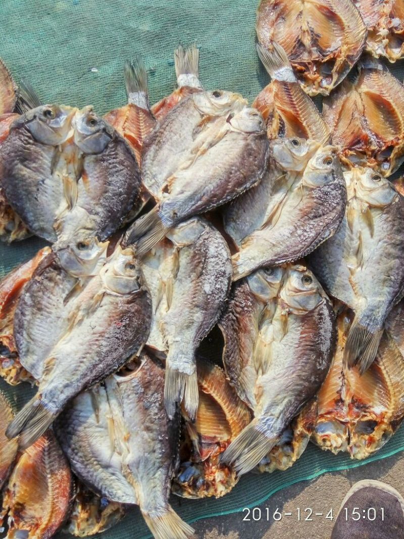 鲫鱼食用