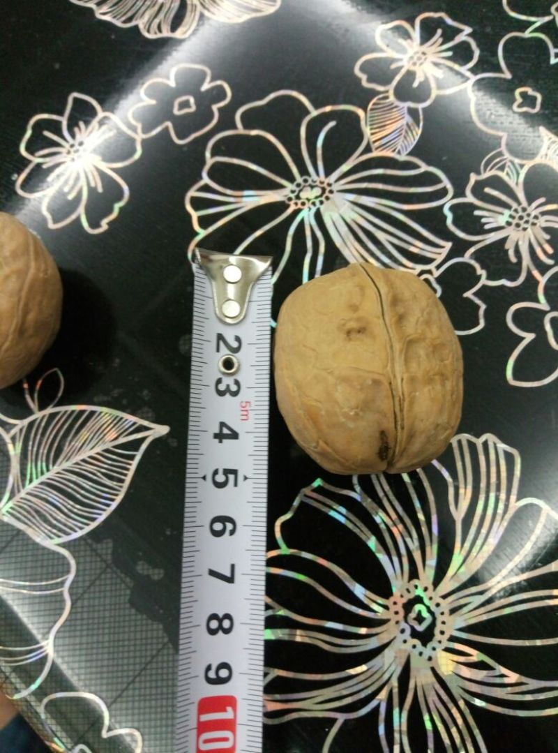 纸皮核桃去皮干
