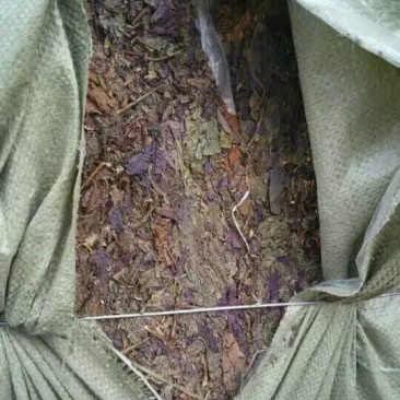 紫苏叶紫苏片紫苏梗紫苏紫苏段紫苏籽紫苏专营