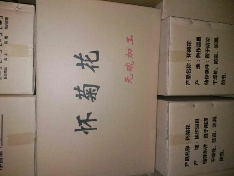 杭州白菊散装