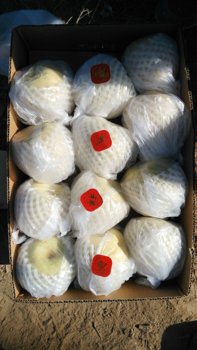 蒲城酥梨250~300g纸箱