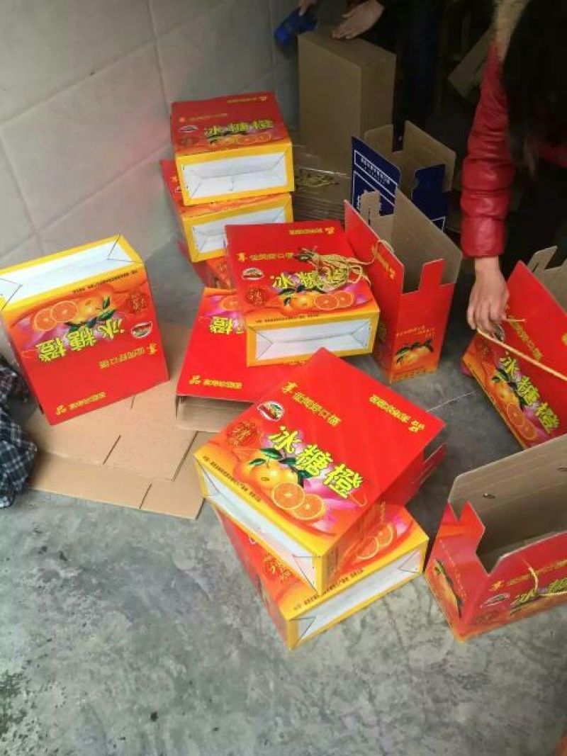 冰糖橙