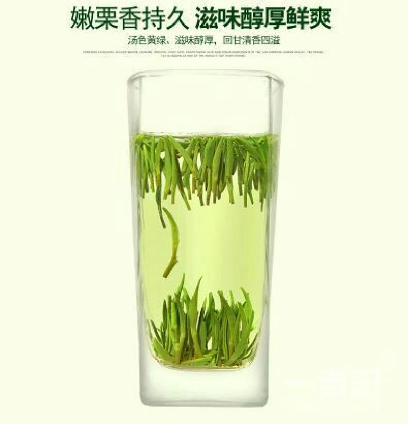 观音茶特级