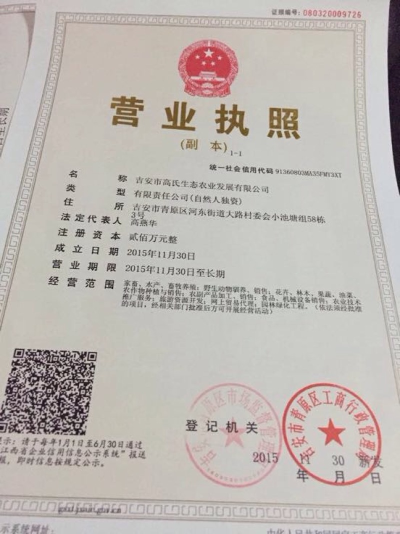 笋干