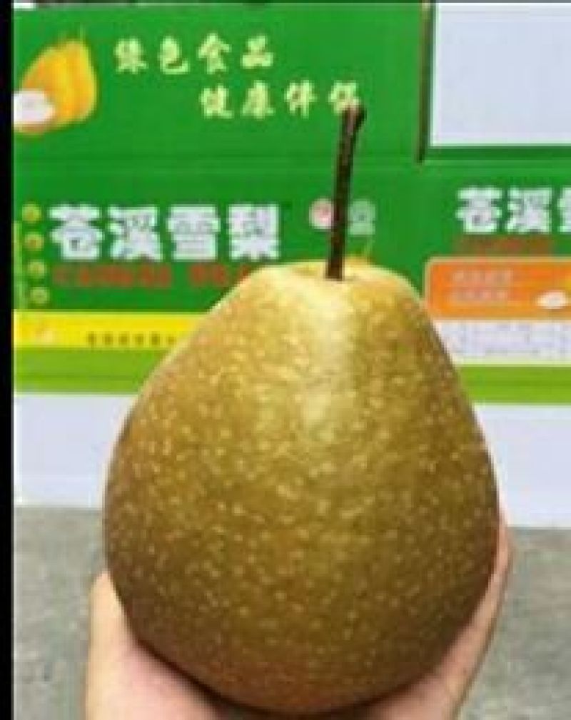 梨350~400g光果
