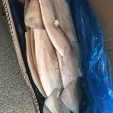 鱿鱼圈