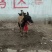 马犬警犬猎犬护卫犬宠物犬