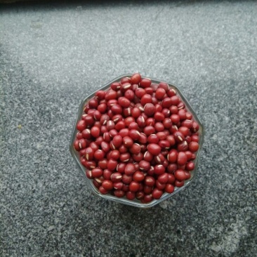红小豆散装