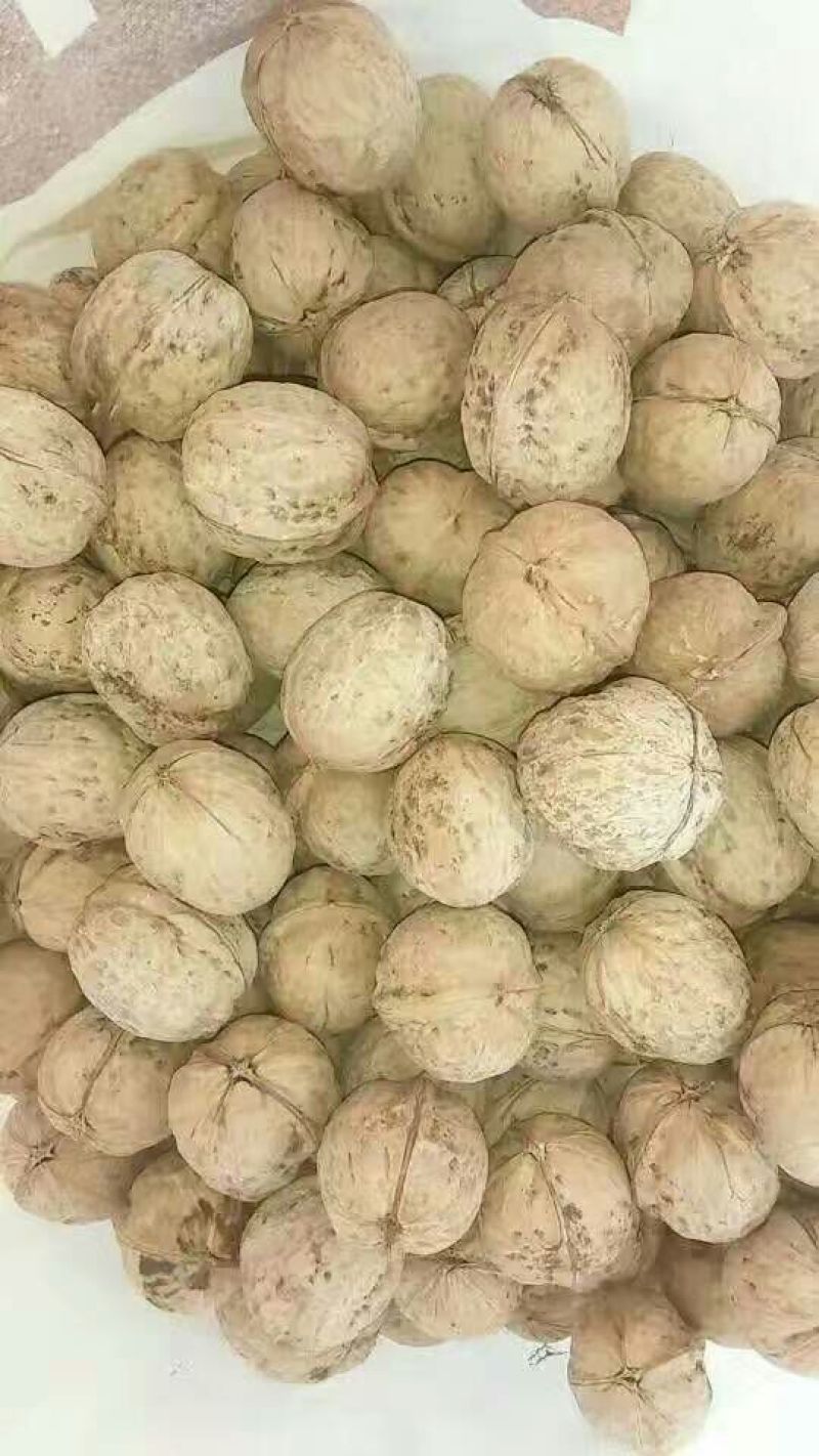 薄皮核桃30mm以上去皮