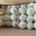 库尔勒香梨100~150g55mm以上母