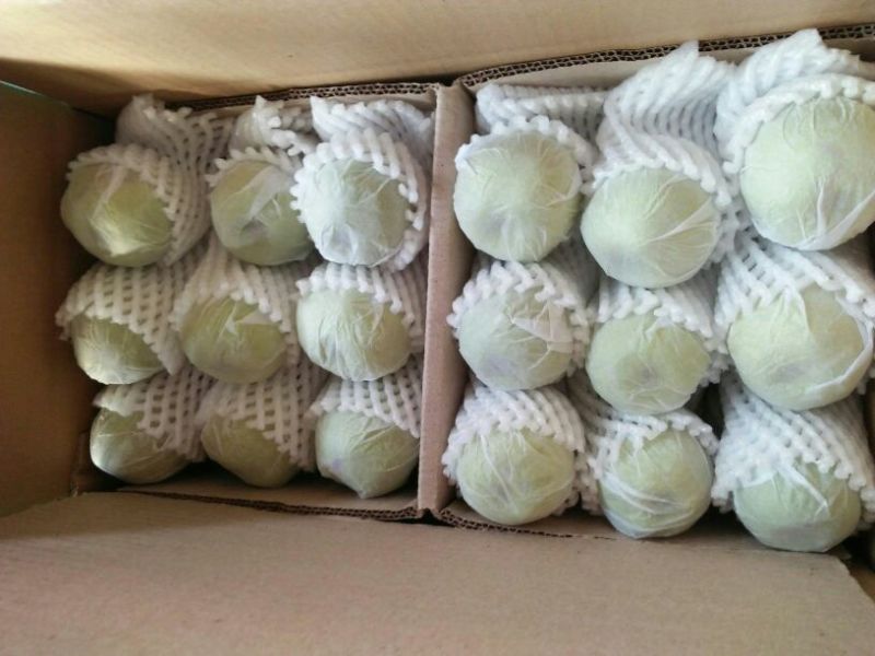 库尔勒香梨100~150g55mm以上母