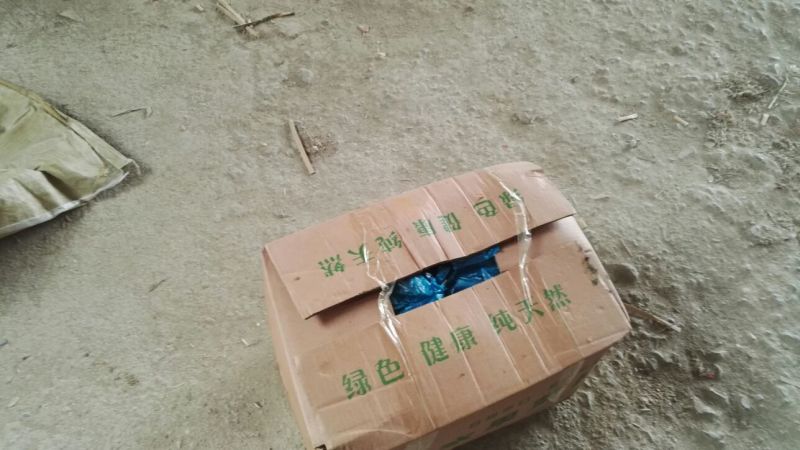 山东平阴精品萝卜青萝卜水果萝卜一手货源