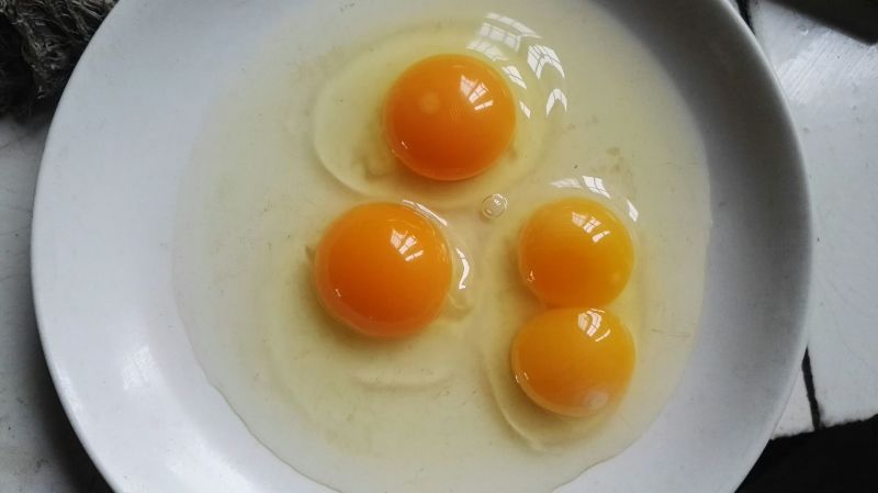 土鸡蛋食用40~50g