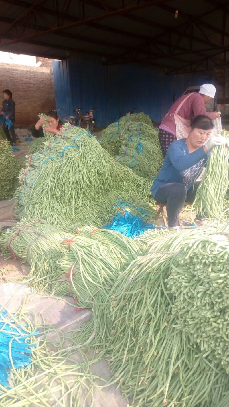 精品长豆角，大量上市，货源充足，质量很好，提供各种包装