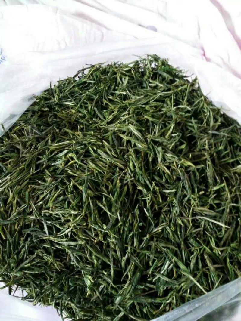 本山茶一级