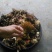 野生菌扫把菌，菌体形俊俏，色泽秀美，营养丰富，味道鲜美.