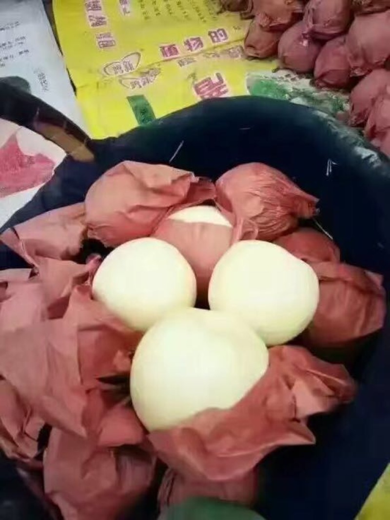 礼泉酥梨