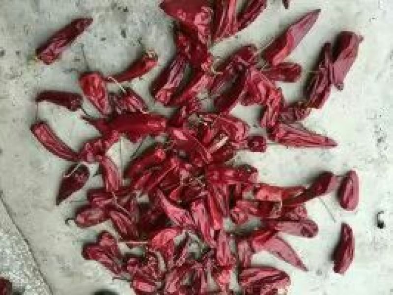 吉林洮南北京红辣椒干价格美丽产地对接