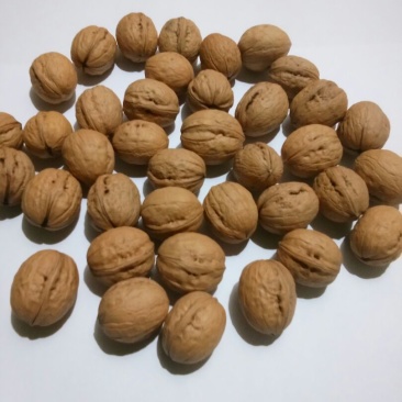 香玲核桃30mm以上去皮