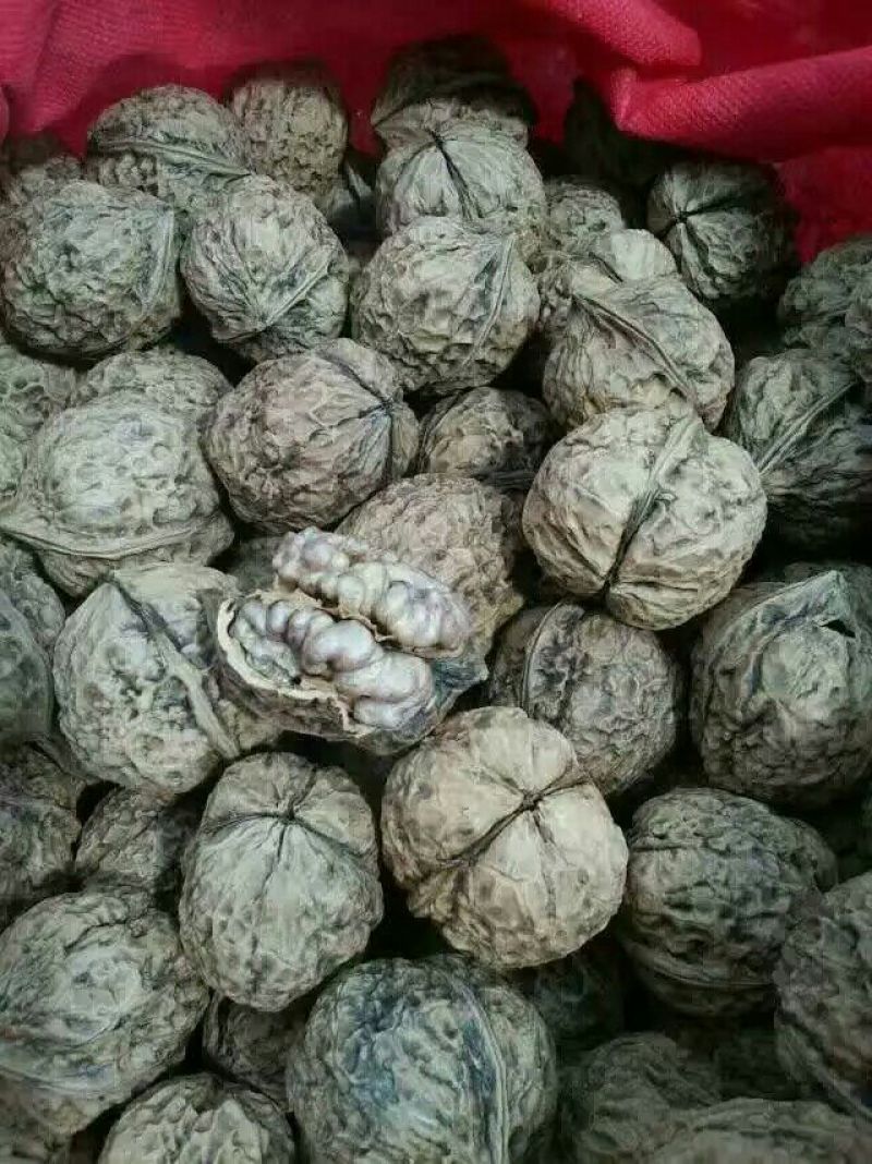 薄皮核桃去皮干