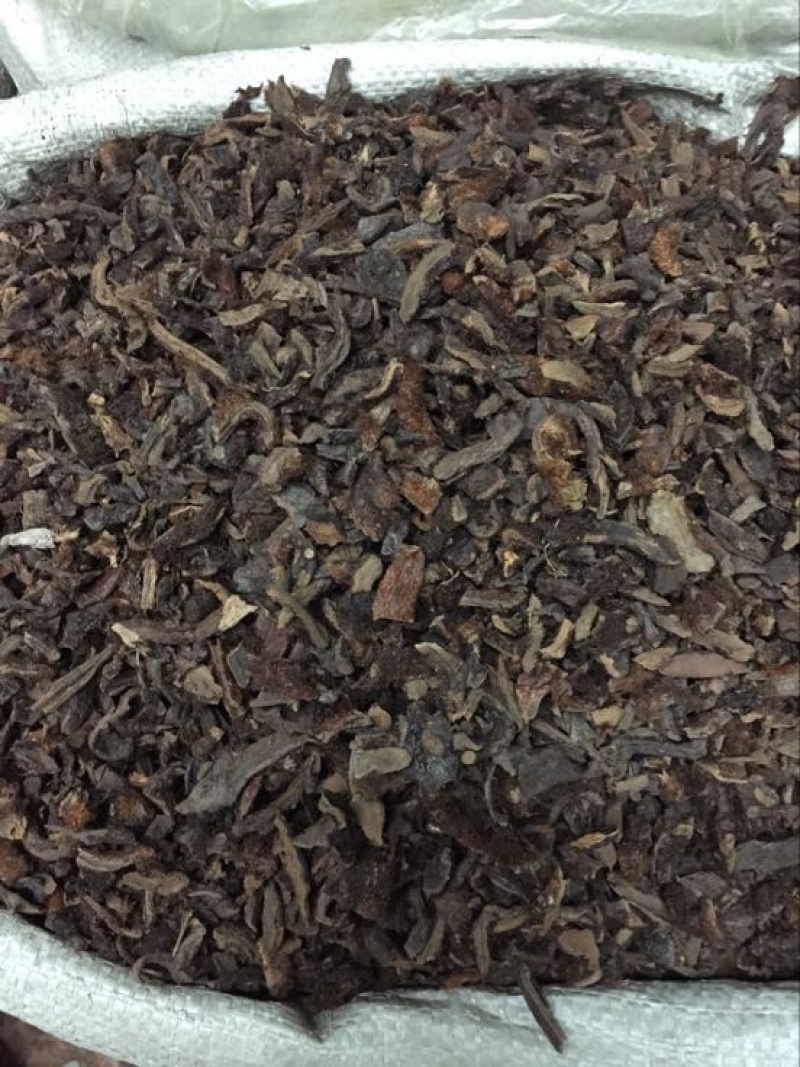 骨碎补
