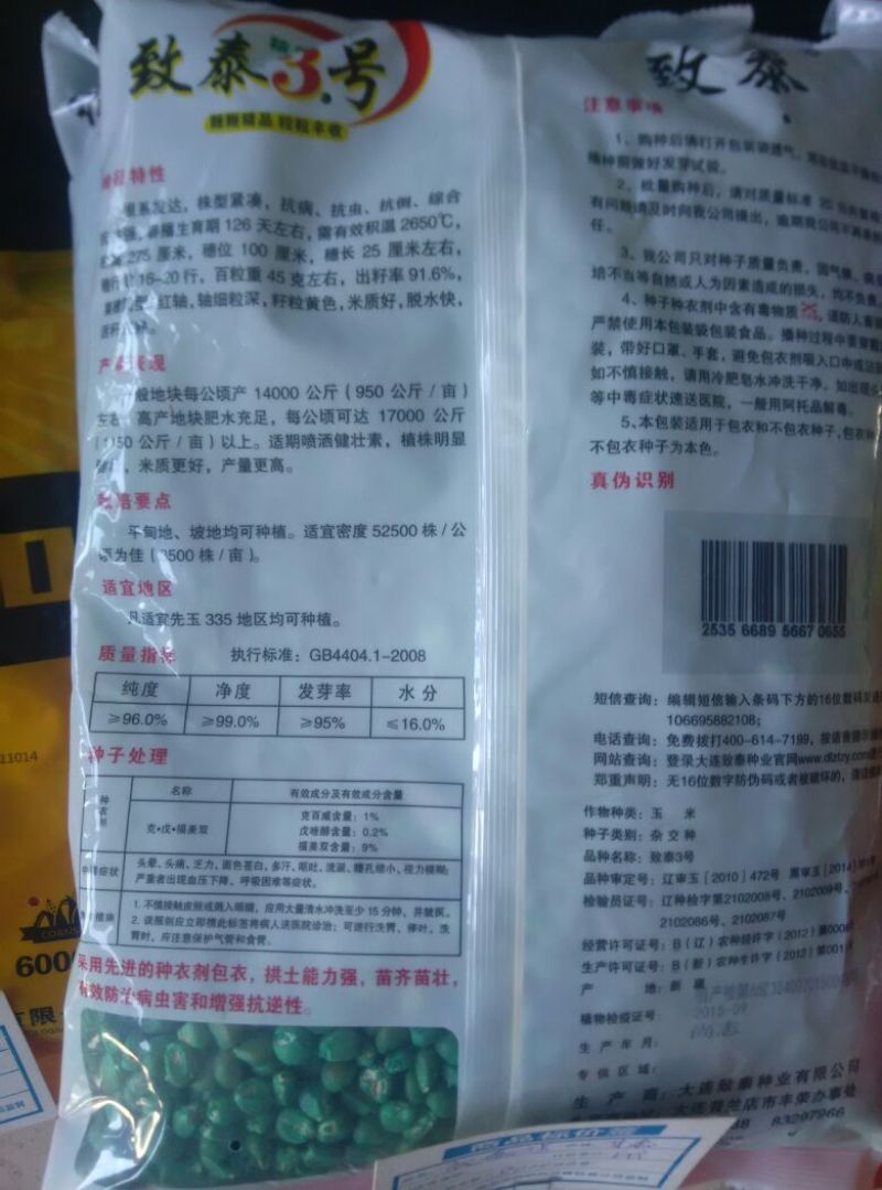 玉米种子