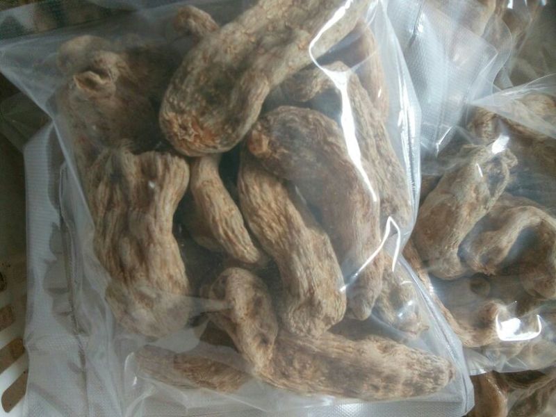 天麻一级