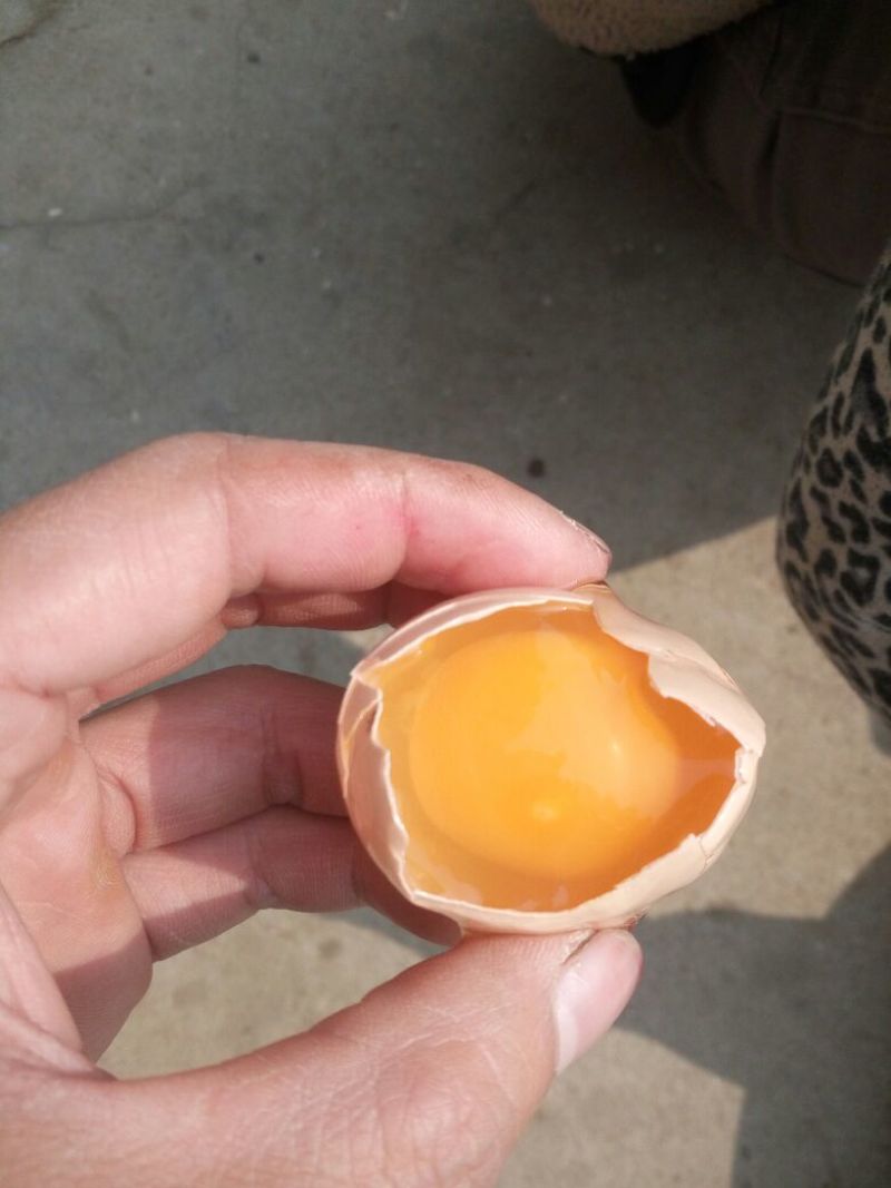 土鸡蛋食用50~60g