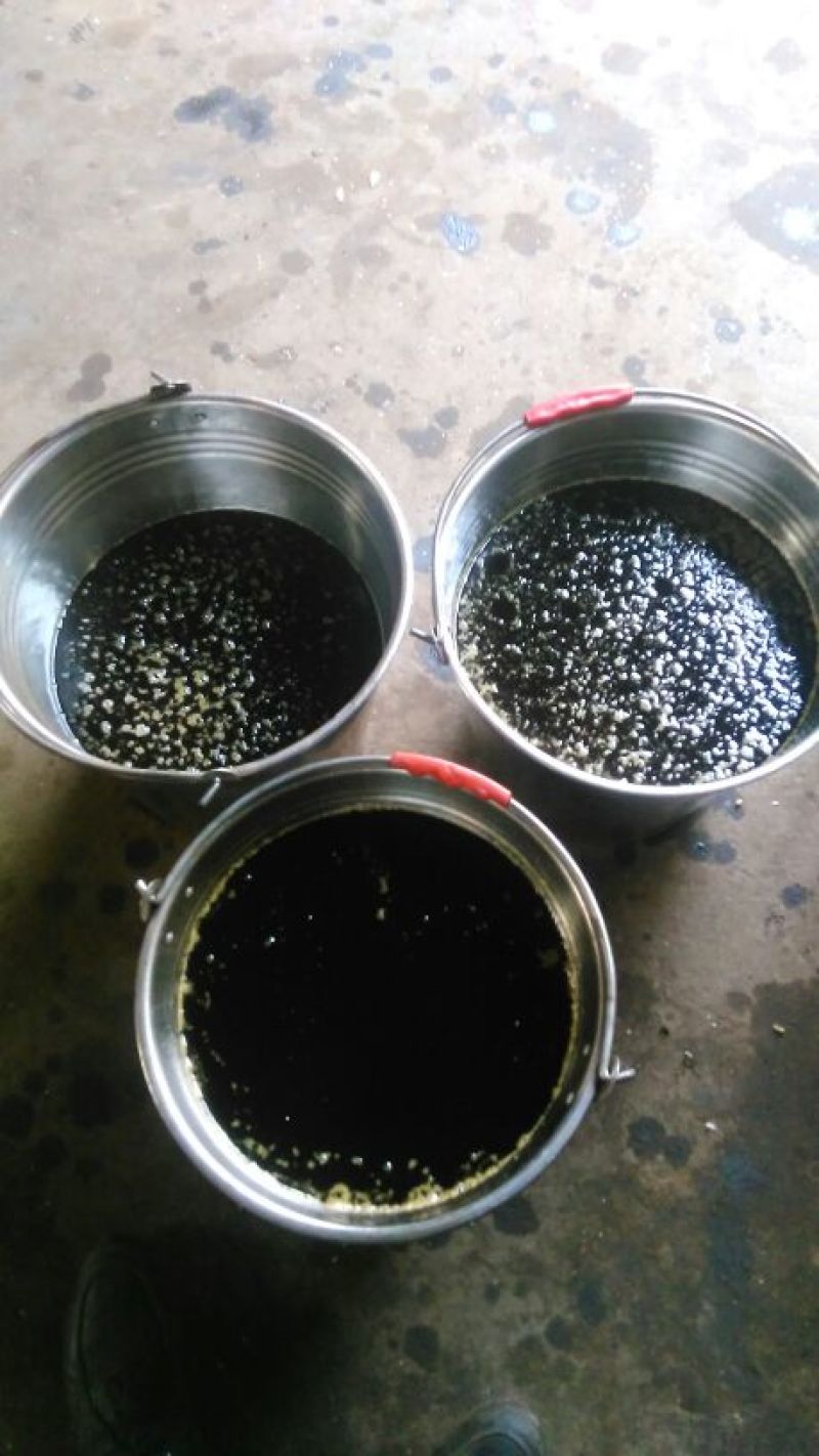 压榨菜籽油四级