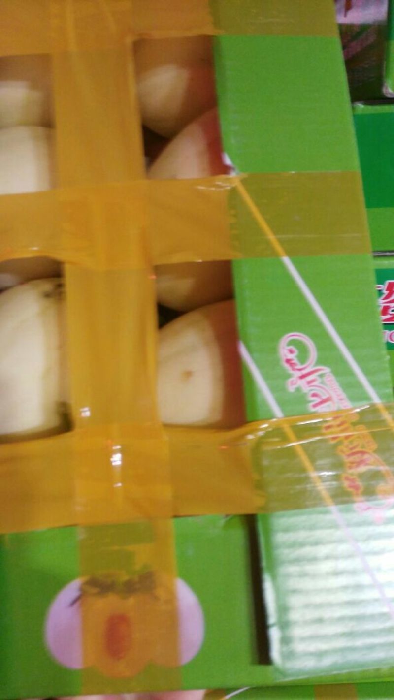 东方密1号哈密瓜2斤以上椭圆形