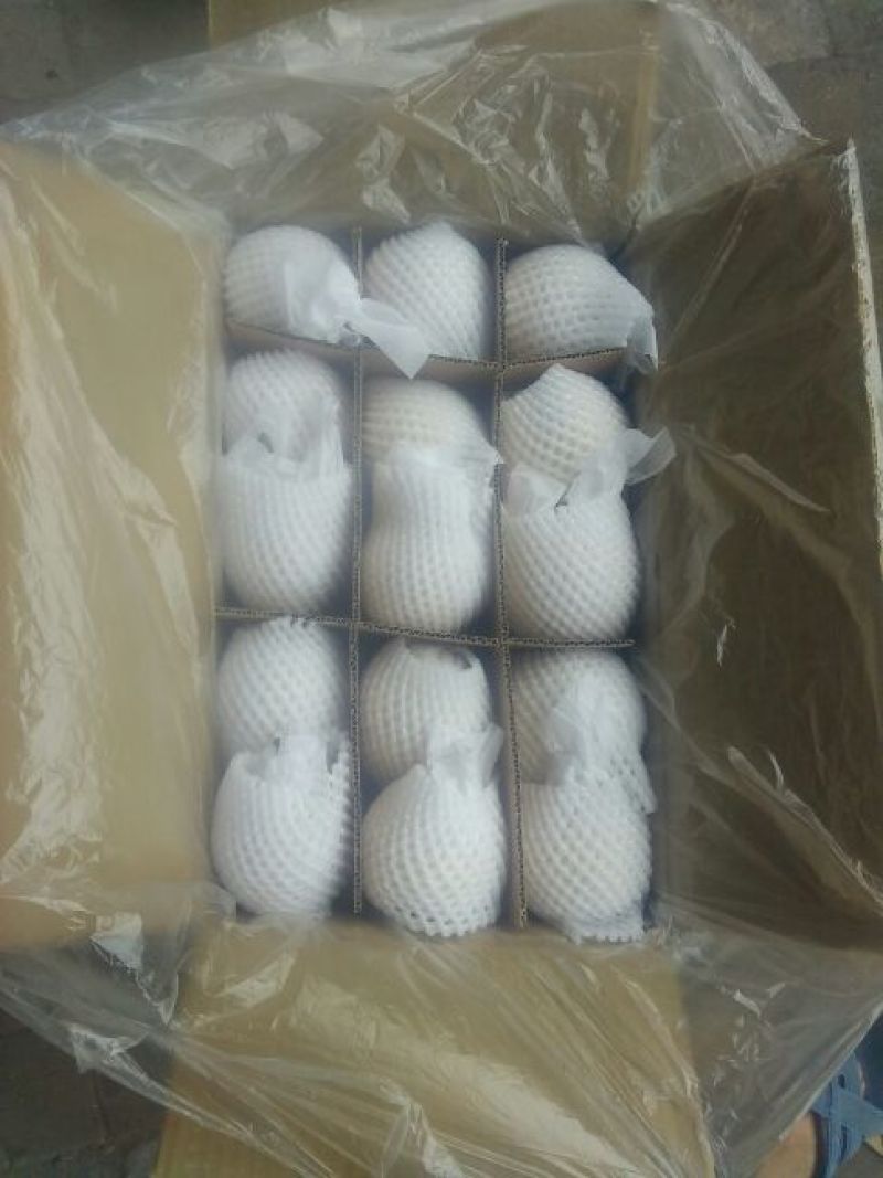 皇冠梨250~300g纸袋