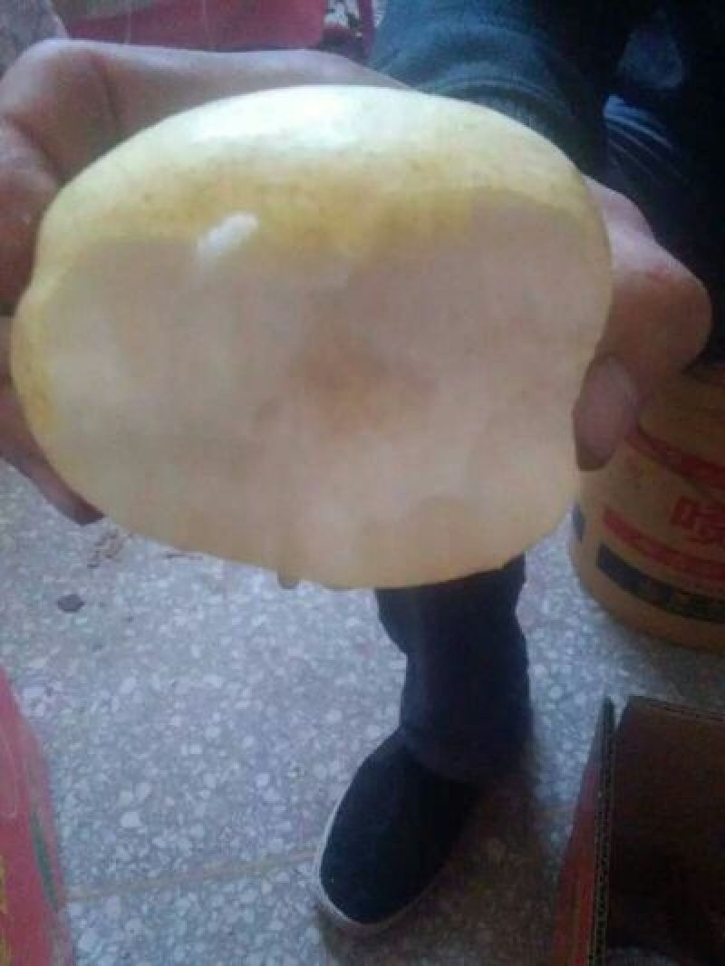 贡梨200~250g纸箱