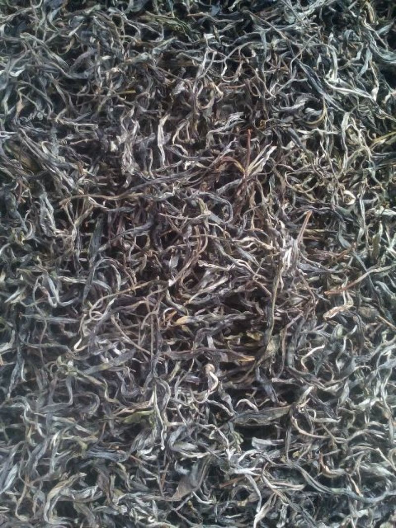 百年普洱大树茶各种检测检验合格