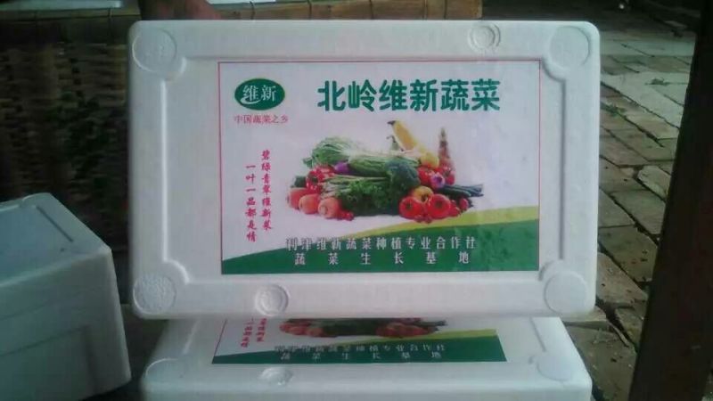 小叶茼蒿