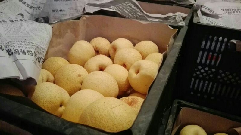 砀山梨300~350g纸箱